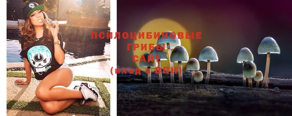 прущие крисы Гусиноозёрск