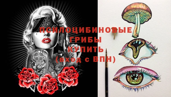 метамфетамин Гусев