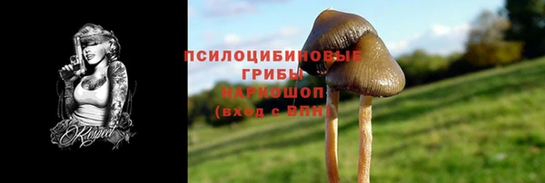 прущие крисы Гусиноозёрск